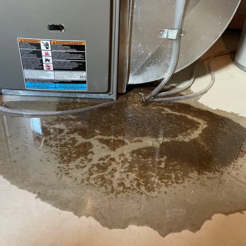 Appliance Leak Cleanup in Woodlake, VA